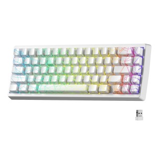 Wireless Mechanical Keyboard